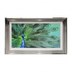 Wall Art | Peacock Display